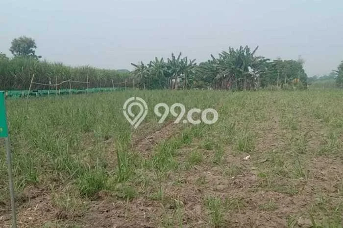 Tanah Kavling Dijual di Kediri dengan Spesifikasi 849m2 Tanah Kavling Dijual di Kediri dengan Spesifikasi 849m2