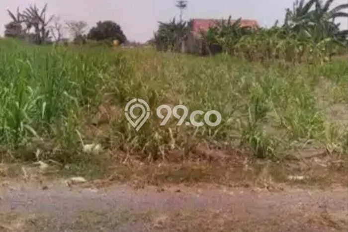 Tanah Kavling Dijual di Kediri dengan Spesifikasi 849m2 Tanah Kavling Dijual di Kediri dengan Spesifikasi 849m2