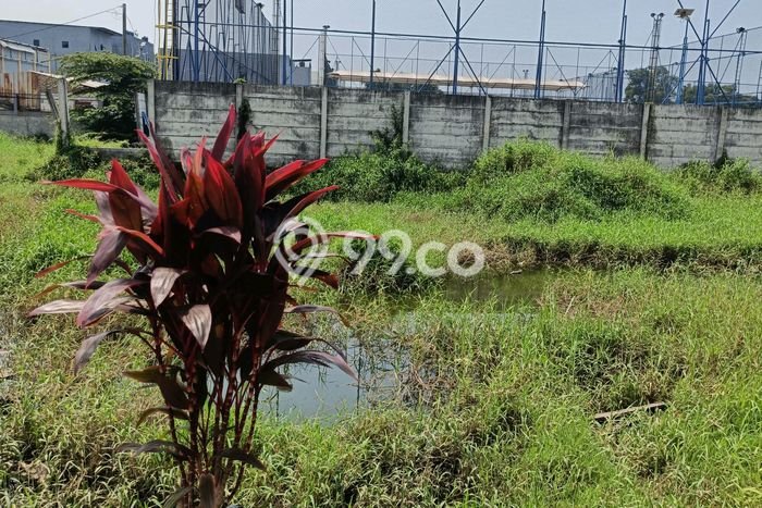 Kavling Tanah Dijual di Cilegon, Cilegon, Luas 600m2 Area Strategis Kavling Tanah Dijual di Cilegon, Cilegon, Luas 600m2 Area Strategis