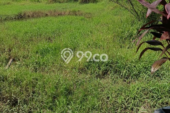 Kavling Tanah Dijual di Cilegon, Cilegon, Luas 600m2 Area Strategis Kavling Tanah Dijual di Cilegon, Cilegon, Luas 600m2 Area Strategis