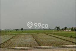 Lahan Strategis di Soreang Dijual dengan Luas 2478m2 Lahan Strategis di Soreang Dijual dengan Luas 2478m2