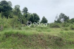 Untuk Dijual Tanah di Bandung, Luas 5500m2 SHM Untuk Dijual Tanah di Bandung, Luas 5500m2 SHM