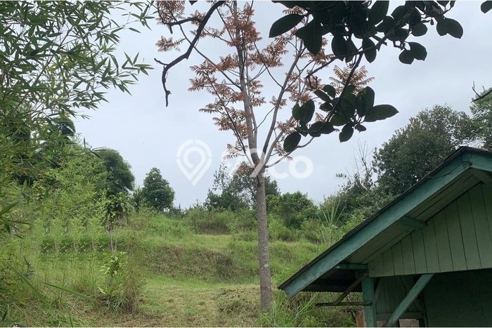 Untuk Dijual Tanah di Bandung, Luas 5500m2 SHM Untuk Dijual Tanah di Bandung, Luas 5500m2 SHM