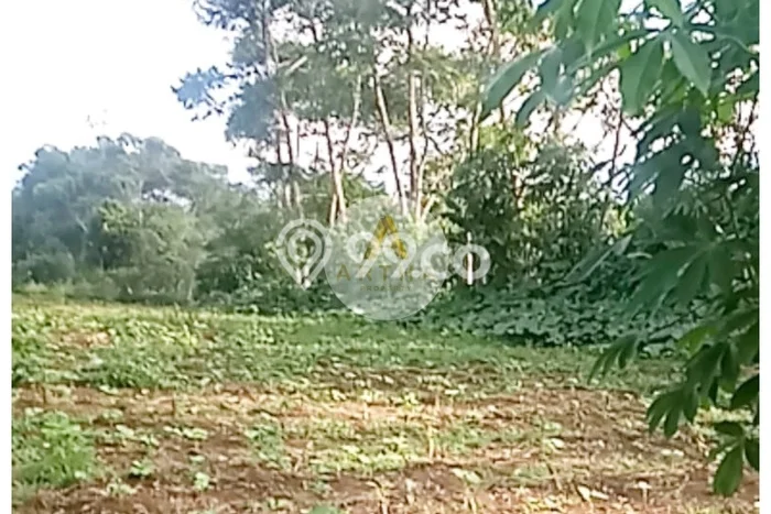 Tanah Dijual Lokasi Ciwidey, Bandung dengan Luas Tanah 4097m2 dan Status SHM Tanah Dijual Lokasi Ciwidey, Bandung dengan Luas Tanah 4097m2 dan Status SHM