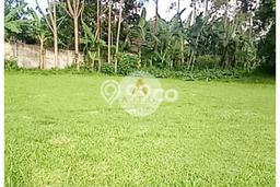 Tanah Dijual Lokasi Ciwidey, Bandung dengan Luas Tanah 4097m2 dan Status SHM Tanah Dijual Lokasi Ciwidey, Bandung dengan Luas Tanah 4097m2 dan Status SHM