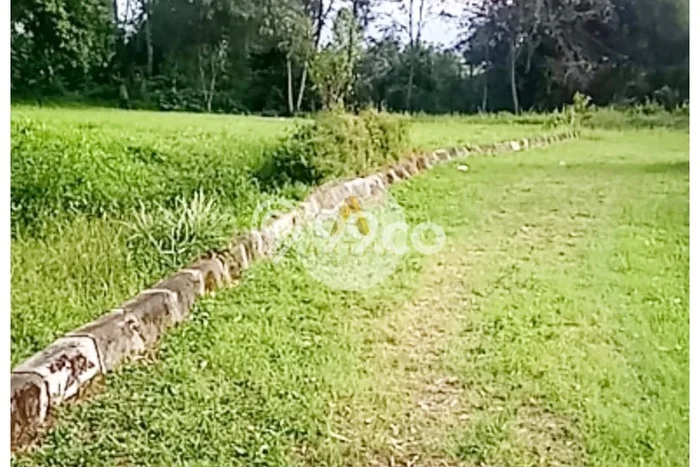 Tanah Dijual Lokasi Ciwidey, Bandung dengan Luas Tanah 4097m2 dan Status SHM Tanah Dijual Lokasi Ciwidey, Bandung dengan Luas Tanah 4097m2 dan Status SHM
