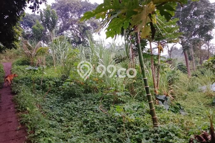 Tanah Kosong Dijual di Bandung Barat dengan Area 1120m2 Tanah Kosong Dijual di Bandung Barat dengan Area 1120m2