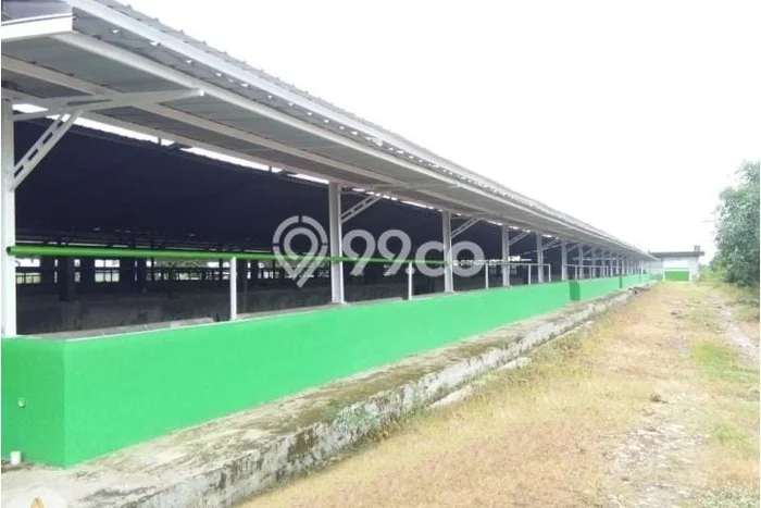 Tanah Siap Bangun Dijual di Majalengka Punya Luas 21702m2 Tanah Siap Bangun Dijual di Majalengka Punya Luas 21702m2