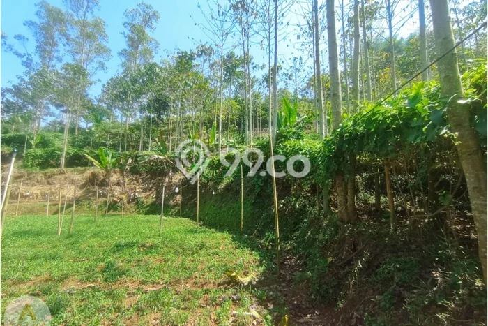 Dijual Tanah di Ciwidey Bandung Luas 10840m2 SHM Dijual Tanah di Ciwidey Bandung Luas 10840m2 SHM