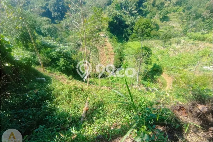 Dijual Tanah di Ciwidey Bandung Luas 10840m2 SHM Dijual Tanah di Ciwidey Bandung Luas 10840m2 SHM
