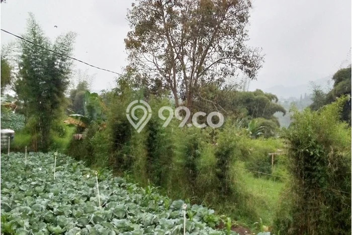 Tanah Strategis Dijual di Ciwidey Bandung 12486m2 Tanah Strategis Dijual di Ciwidey Bandung 12486m2