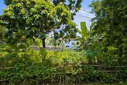 Dijual Tanah di Tapos Depok Luas 482m2 SHM Dijual Tanah di Tapos Depok Luas 482m2 SHM
