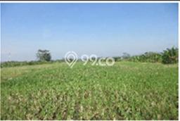 Lahan Strategis di Padalarang Dijual dengan Luas 2129m2 Lahan Strategis di Padalarang Dijual dengan Luas 2129m2