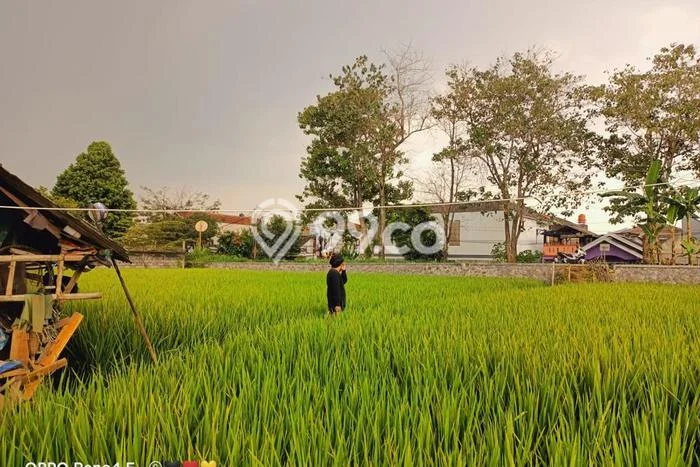 Kavling Tanah Dijual di Cibiru Bandung Spesifikasi 733m2 Kavling Tanah Dijual di Cibiru Bandung Spesifikasi 733m2