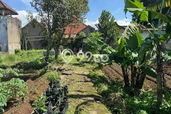 Rumah Sederhana Dijual Lokasi Tanjungsari 5 Kamar dengan LT 1700m2 Rumah Sederhana Dijual Lokasi Tanjungsari 5 Kamar dengan LT 1700m2
