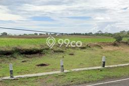 Jarang Ada! Tanah di Cikelet Punya Luas 14000m2 - Jarang Ada! Tanah di Cikelet Punya Luas 14000m2 -
