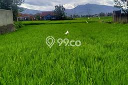 Tanah Dijual Lokasi Rancaekek Bandung SHM Tanah Dijual Lokasi Rancaekek Bandung SHM