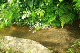 Lahan untuk Dijual di Ciater Subang Luas 5475m2 Lahan untuk Dijual di Ciater Subang Luas 5475m2