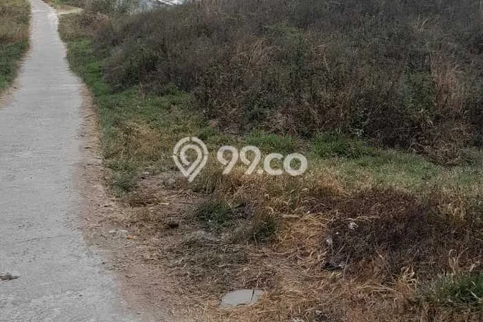 Tanah Dijual Lokasi Cicalengka Bandung SHM Tanah Dijual Lokasi Cicalengka Bandung SHM