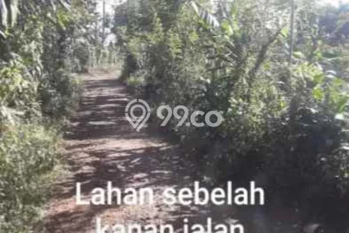 Jarang Ada! Tanah di Pamulihan Punya Luas 12250m2 SHM Jarang Ada! Tanah di Pamulihan Punya Luas 12250m2 SHM