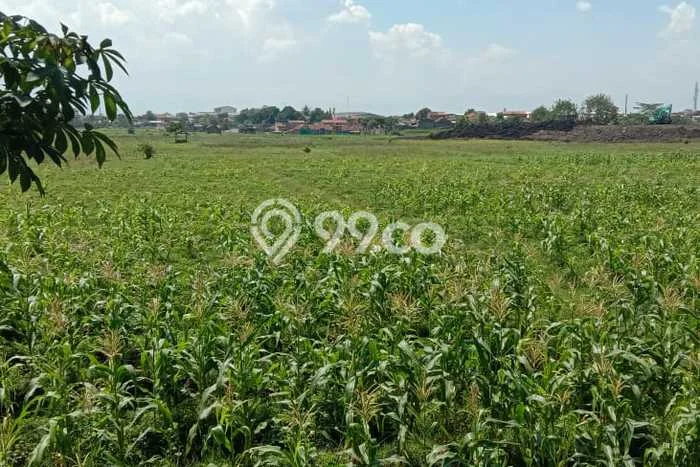 Lahan Dijual Lokasi Soreang, Bandung dengan Luas Tanah 160000m2 dan Status SHM Lahan Dijual Lokasi Soreang, Bandung dengan Luas Tanah 160000m2 dan Status SHM