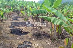 Dijual Tanah di Cibiuk Garut Luas 480000m2 SHM Dijual Tanah di Cibiuk Garut Luas 480000m2 SHM