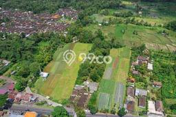 Dijual Tanah 4300m2 di Luwus, Tabanan Dijual Tanah 4300m2 di Luwus, Tabanan