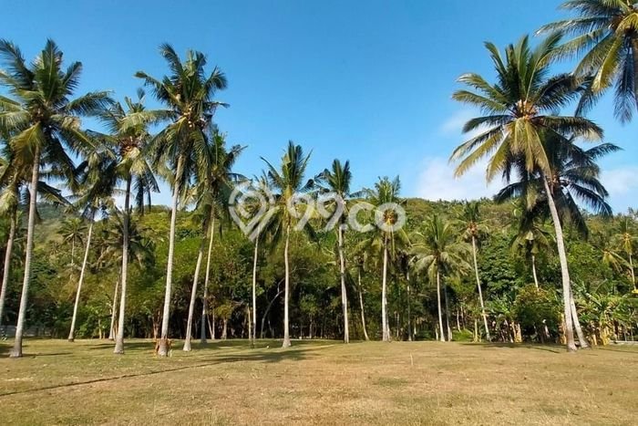 Tanah Dijual Area Strategis di Senggigi Lombok Barat 14699m2 Tanah Dijual Area Strategis di Senggigi Lombok Barat 14699m2