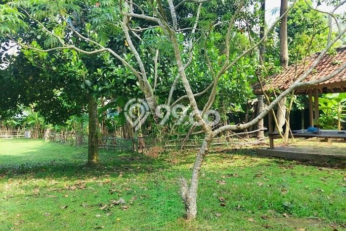 Tanah Dijual Area Strategis di Senggigi Lombok Barat 14699m2 Tanah Dijual Area Strategis di Senggigi Lombok Barat 14699m2