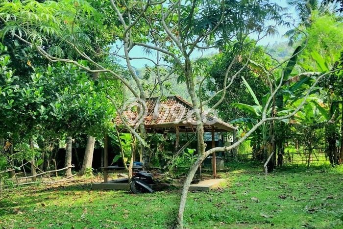 Tanah Dijual Area Strategis di Senggigi Lombok Barat 14699m2 Tanah Dijual Area Strategis di Senggigi Lombok Barat 14699m2