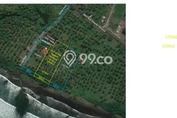 Tanah Dijual Lokasi Negara Jembrana SHM Tanah Dijual Lokasi Negara Jembrana SHM