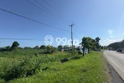Tanah Strategis Dijual di Gelgel Semarapura 2975m2 Tanah Strategis Dijual di Gelgel Semarapura 2975m2