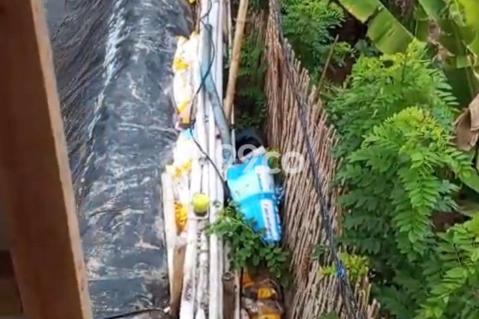 Lahan Kosong Dijual di Jembrana dengan Area 4500m2 Lahan Kosong Dijual di Jembrana dengan Area 4500m2