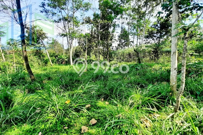 Dijual Tanah Lokasi Boyolali Kota, Boyolali Seluas 1015m2 Dijual Tanah Lokasi Boyolali Kota, Boyolali Seluas 1015m2