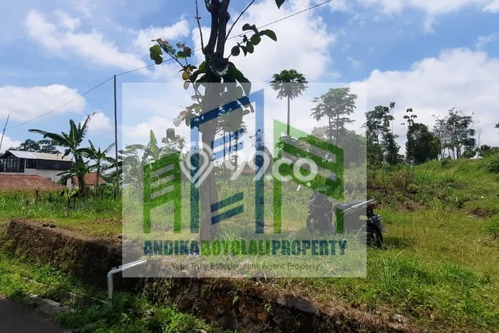 Jarang Ada! Tanah di Cepogo Punya Luas 2480m2 SHM Jarang Ada! Tanah di Cepogo Punya Luas 2480m2 SHM
