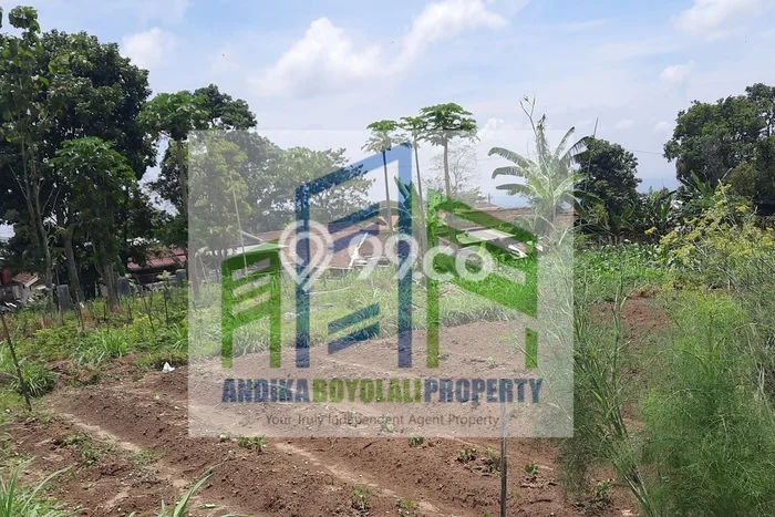 Jarang Ada! Tanah di Cepogo Punya Luas 2480m2 SHM Jarang Ada! Tanah di Cepogo Punya Luas 2480m2 SHM