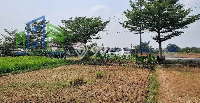Tanah Dijual Lokasi Polanharjo, Klaten Luas 1675m2 Legalitas Aman Tanah Dijual Lokasi Polanharjo, Klaten Luas 1675m2 Legalitas Aman