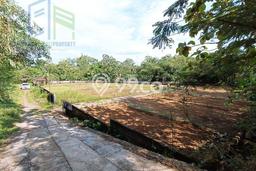 Jarang Ada! Tanah di Nogosari Punya Luas 103m2 SHM Jarang Ada! Tanah di Nogosari Punya Luas 103m2 SHM