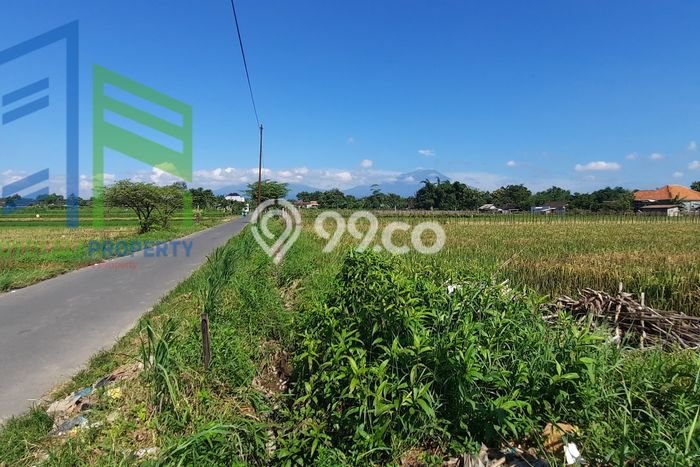 HARGA TERBAIK! Tanah di Banyudono, Luas 2273m², Area Berkembang HARGA TERBAIK! Tanah di Banyudono, Luas 2273m², Area Berkembang