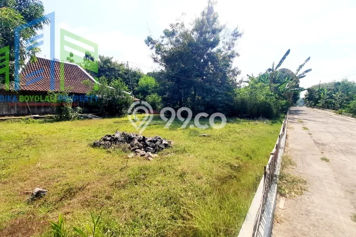 Jarang Ada! Tanah di Nogosari Punya Luas 442m2 SHM Jarang Ada! Tanah di Nogosari Punya Luas 442m2 SHM