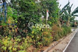 Lahan Dijual Lokasi Teras, Boyolali dengan Luas Tanah 388m2 dan Status SHM Lahan Dijual Lokasi Teras, Boyolali dengan Luas Tanah 388m2 dan Status SHM