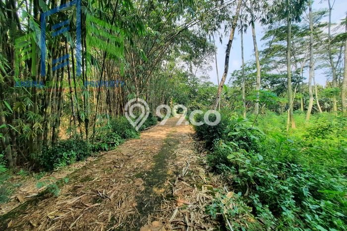 Tanah Dijual Lokasi Mojosongo, Boyolali Luas 1185m2 Legalitas Aman Tanah Dijual Lokasi Mojosongo, Boyolali Luas 1185m2 Legalitas Aman