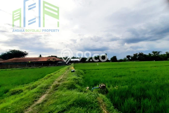 LOKASI PREMIUM! Tanah di Nogosari, Luas 4022m², Pinggir Jalan Utama LOKASI PREMIUM! Tanah di Nogosari, Luas 4022m², Pinggir Jalan Utama
