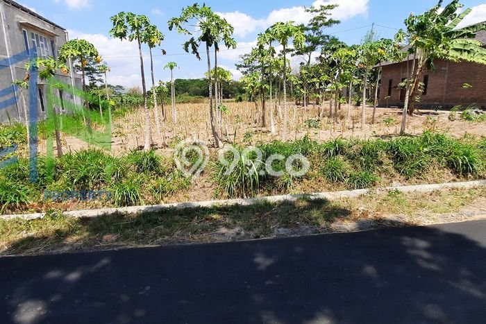 Lahan Investasi Lokasi Teras Boyolali SHM Lahan Investasi Lokasi Teras Boyolali SHM