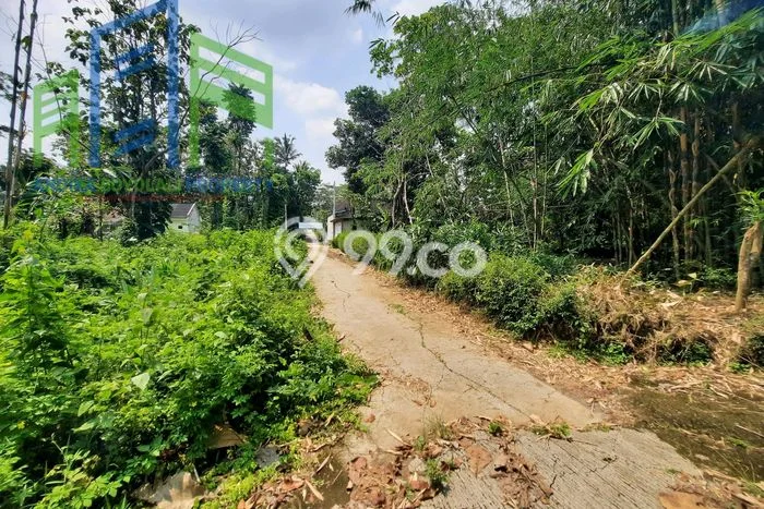 Tanah Dijual Lokasi Mojosongo, Boyolali Luas 1185m2 Legalitas Aman Tanah Dijual Lokasi Mojosongo, Boyolali Luas 1185m2 Legalitas Aman