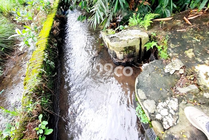 Kavling Tanah di Mojosongo Dijual Luas 294m2 Legalitas SHM Kavling Tanah di Mojosongo Dijual Luas 294m2 Legalitas SHM