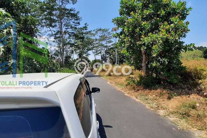 Lahan Investasi Lokasi Teras Boyolali SHM Lahan Investasi Lokasi Teras Boyolali SHM