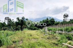 Tanah Kosong Dijual di Boyolali dengan Area 955m2 Tanah Kosong Dijual di Boyolali dengan Area 955m2