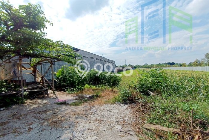 Tanah di Banyudono, Boyolali Luas 1650m2 Dijual Segera Tanah di Banyudono, Boyolali Luas 1650m2 Dijual Segera