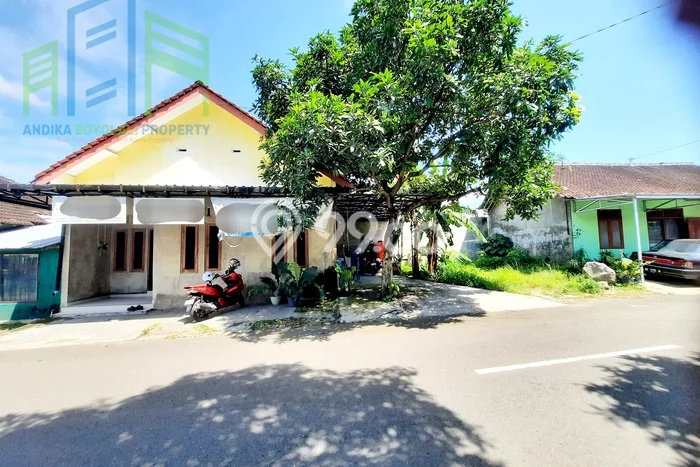 Rumah Minimalis Terjangkau Dijual di Boyolali Harga Rp 500 Juta Rumah Minimalis Terjangkau Dijual di Boyolali Harga Rp 500 Juta